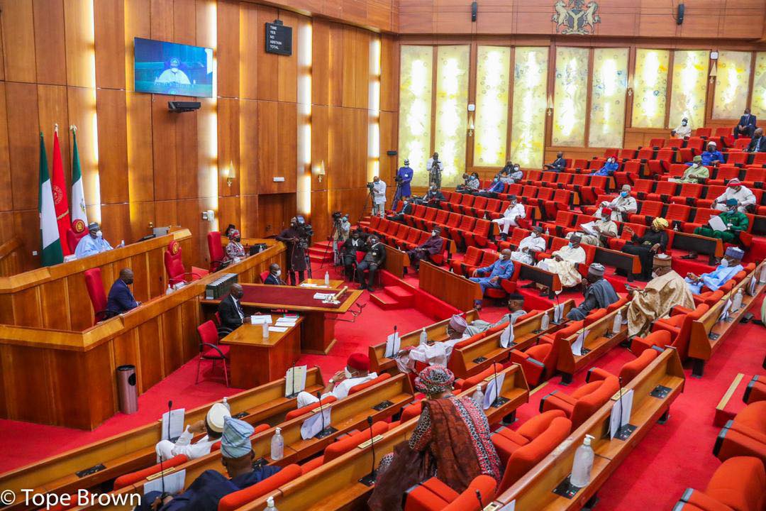 Senate committee approves NGE president and 15 others for NHRC board