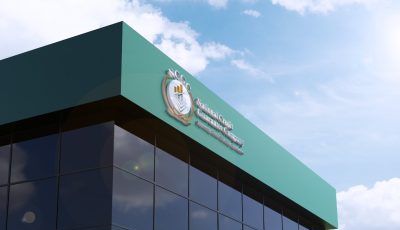 NCGC provides N64.13 billion loans to help businesses and individuals