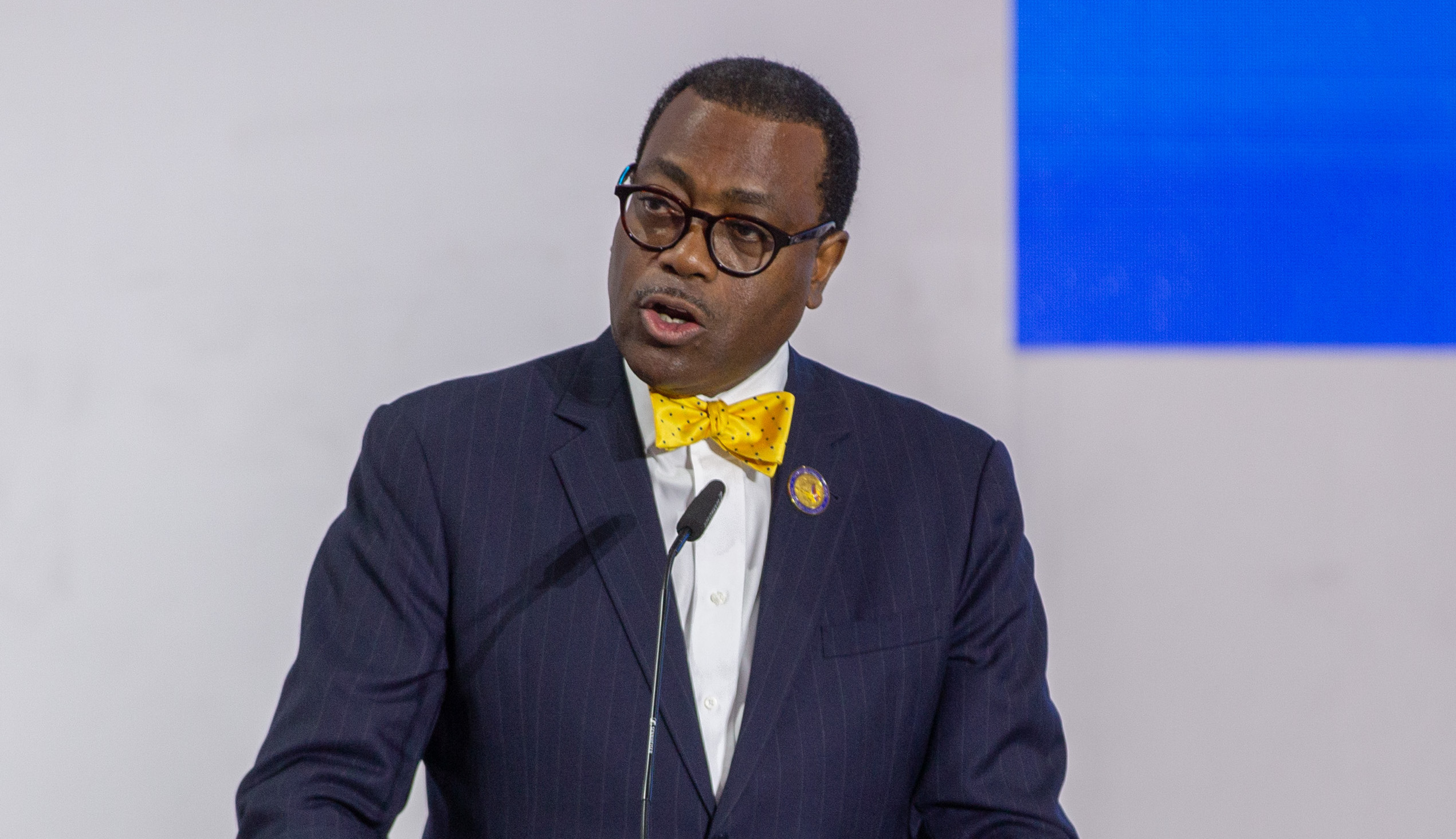 Adesina Offers to Serve Nigeria After Meeting Tinubu