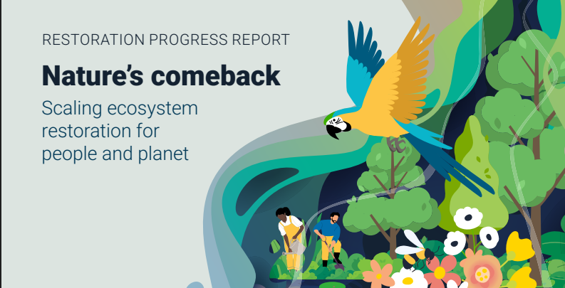 UN Report Shows Nature is Recovering, But We Need to Act Faster
